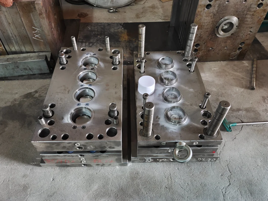 Injection Molding Service Plastic Mould Injection Mold
